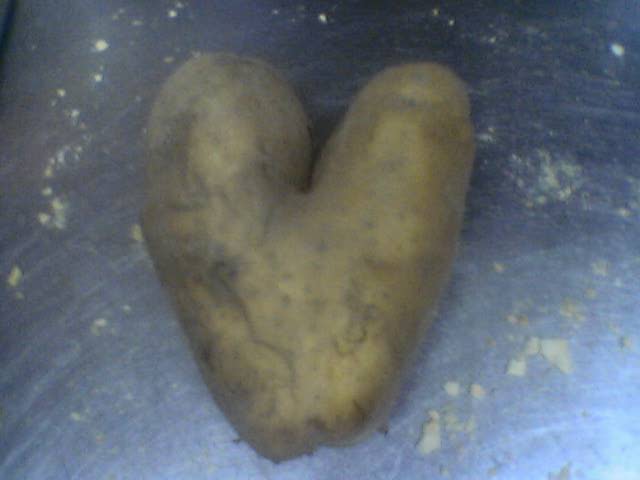 la patata del amor.jpg